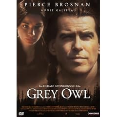 Grey Owl