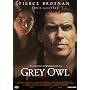 Grey Owl