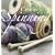 Creative Spinning