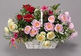 ���G�}�A�[�g�t�����[�@�`�P�X�O�T�|�T�O�@