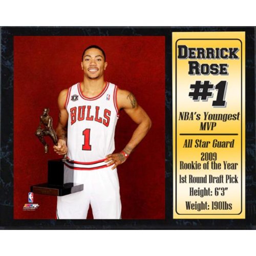 Chicago Bull's Derrick Rose 12x15 Stat Plaque Case Pack 14