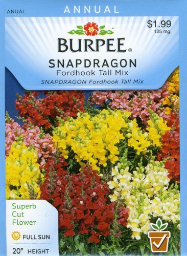 Burpee 41402 Snapdragon