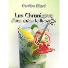 Les Chroniques d une Mere Indigne T 02