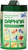 Hikari Bio-Pure Freeze Dried Daphnia for Pets, 0.42-Ounce