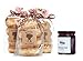 The Model Bakery English Muffins and preserve set - Strawberry Jam