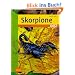Skorpione im Terrarium -