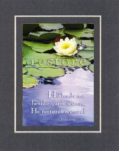 Beautiful and Inspiring 8 x 10 Inches Frame able Inspirational Floral Note Card (Restore, He will Lead Me Beside Quiet Waters. . .Psalm 23:2) on Beveled Matting (Black V Groove)