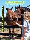 Polo Ponies (Fox Tail Farms)