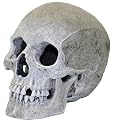 Exotic Environments Human Skull Aquarium Ornament, 5-Inch by 7-1/2-Inch by 6-Inch