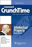 Intellectual Property Crunchtime 2009