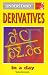Understand Derivatives in a Day