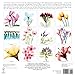 Flower Spirits; Radiographs of Nature 2015 Wall Calendar