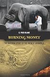 Burning Money: The Material Spirit of the Chinese Lifeworld