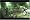 Ninja Gaiden Dragon Sword