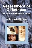 Assessment of Giftedness: A Concise and Practical Guide