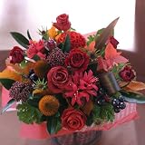 �t�����[�y �A�����W�����g�@�L�O���@�a�����@�t�����[�M�t�g�@�ԁ@�V�z�j���@�J�X�j���@���b�h�n ha �z
