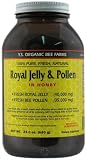 YS Royal Jelly/Honey Bee - Fresh Royal Jelly & Pollen In, 23 oz gel
