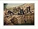 Bedouins drawing water Holy Land, c. 1890s, (L) Library Image