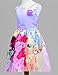 LEMONBABY My Little Pony Sleeveless Princess Birthday Party Dress (3-4Y, PURPLE)