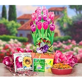 Tulips Gift Box Gourmet Food Gift Basket by NG5172