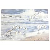 Sandpiper BEACH home kitchen decor Floor utility MAT Throw Rug door welcome