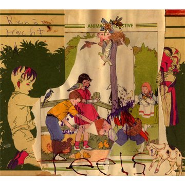 Animal Collective - Feels - Zortam Music