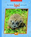 Der kleine Igel wird gro�