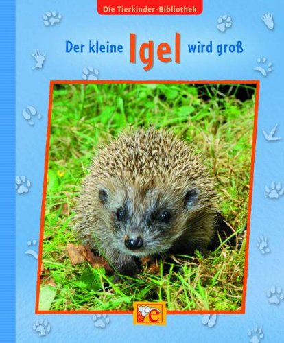Der kleine Igel wird gro�