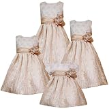 Rare Editions TWEEN GIRLS 7-16 METALLIC-GOLD FOIL DOT FLORAL EMBROIDERED CRINKLE SKIRT Special Occasion Flower Girl Holiday Party Dress