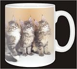 MAINE COON KITTENS Coffee Mug
