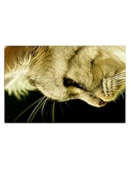 From Amazon.com. Click for details:
 Lawn & Patio: Rock Bull Doormat - CAT, 23.6"x15.7" - Rock Bull Lawn & Patio: Rock Bull Doormat - CAT, 23.6"x15.7" - Rock Bull