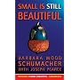 Small Is Still Beautiful