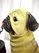 GSL SS-GSL-B5196 Energy Saving Pug Dog with Lantern Solar Light
