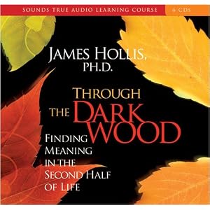 Through the Dark Wood by James Hollis