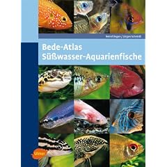 8000 Aquarienfische