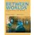 Between Worlds: A Reader Rhetoric and Handbook (6th Edition)
