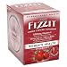 Hansen's Fizzit Vitamin & Mineral Drink Mix, Women's Health Formula, Cranberry, 24-Count Boxes of.4-Ounce Packets (Pack of 2)