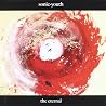 Image de l'album de Sonic Youth