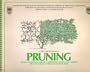 Step-By-Step Guide to Pruning