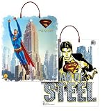 Superman Trick or Treat Bag