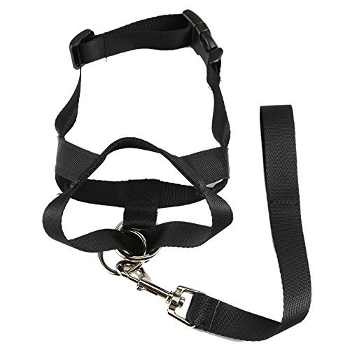 ColorPet Dog Training Halter Head Collar for Dogs Helps Stop Pulling Polyester Large Size(Black)