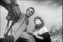 Fighting Men DVD (1953), A Neorealism Sicilian Mafia Movie Featuring Rossano Brazzi, Charles Vanel, Claudine Dupuis, Milly Vitale, Eduardo Ciannelli, Turi Pandolfini, Ignazio Balsamo, and Carla Calo.