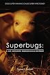 Superbugs: E. coli, Salmonella, Staphylococcus And More!: Does Super Farming Cause Super Infections?
