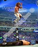 Shawn Michaels vs Undertaker WWE WrestleMania 25 8x10