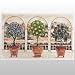 ProPassione Doormat Tuscany, easy-care, machine washable up to 30° C, Dimensions: l 69 x w 44 cm