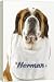 Dog - Saint Bernard wearing bib - 20 Inch Canvas Print (51 cm) by Ardea
