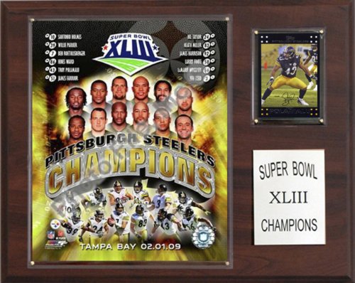 NFL Steelers Super Bowl XLIII Champions Plaque