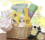 Baby Congratulations Gourmet Food Gift Basket