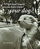 10 Spiritual Lessons You Can Learn from Your Dog
