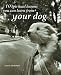 10 Spiritual Lessons You Can Learn from Your Dog